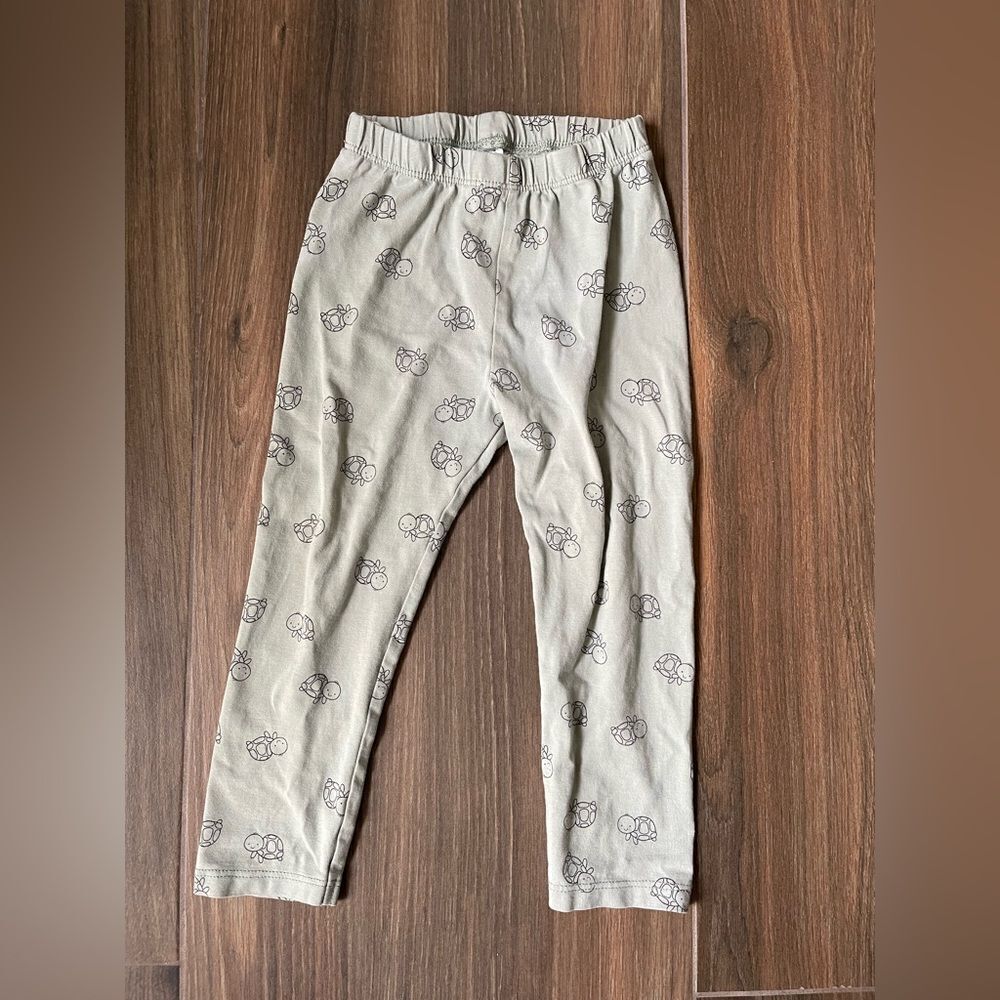 H&M 2T toddler light green turtle Printed cotton pants elastic waist
